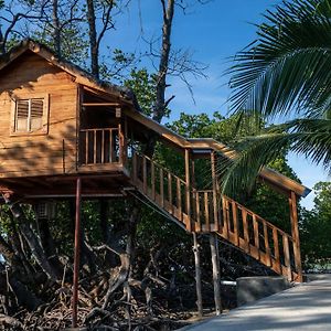 Tree House